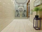 پرسلان امین میبد | مدل هارداستون - تصویر 5